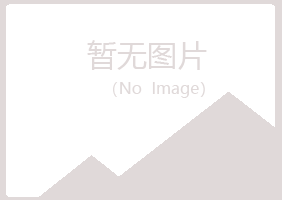 西陵区夏岚金属有限公司